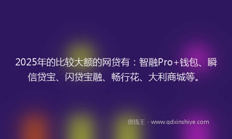 2025年的比较大额的网贷有：智融Pro+钱包、瞬信贷宝、闪贷宝融、畅行花、大利商城等。