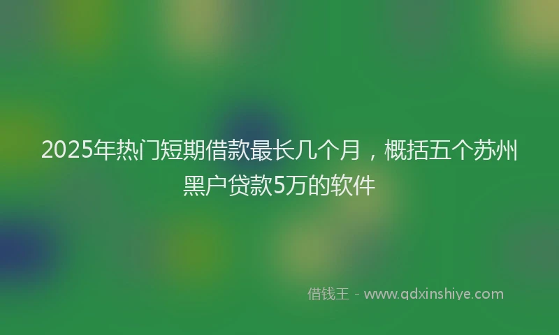 2025年热门短期借款最长几个月，概括五个苏州黑户贷款5万的软件