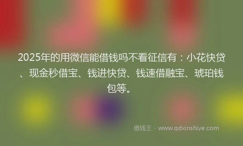 2025年的用微信能借钱吗不看征信有：小花快贷、现金秒借宝、钱进快贷、钱速借融宝、琥珀钱包等。