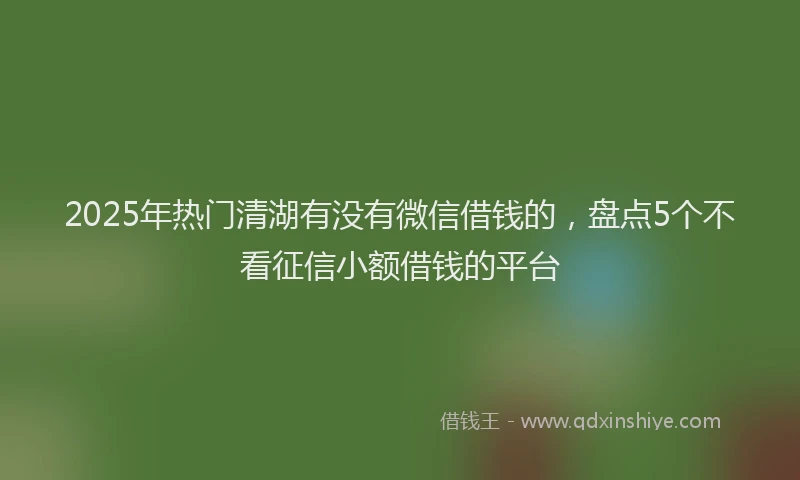 2025年热门清湖有没有微信借钱的，盘点5个不看征信小额借钱的平台
