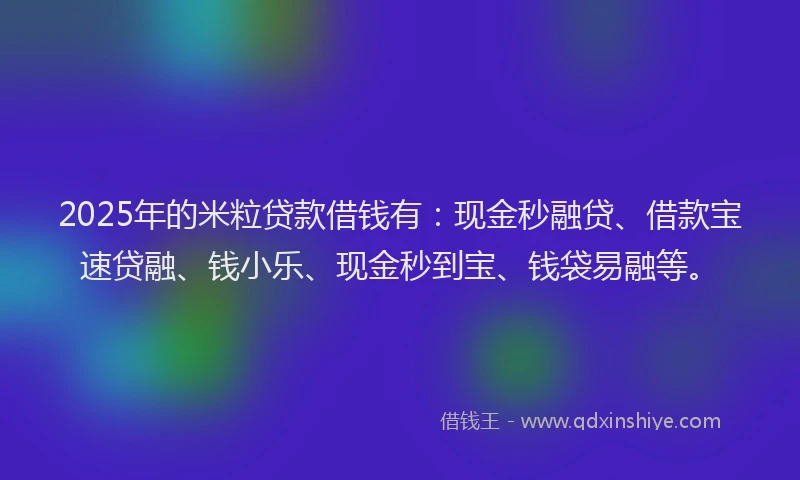 2025年的米粒贷款借钱有：现金秒融贷、借款宝速贷融、钱小乐、现金秒到宝、钱袋易融等。