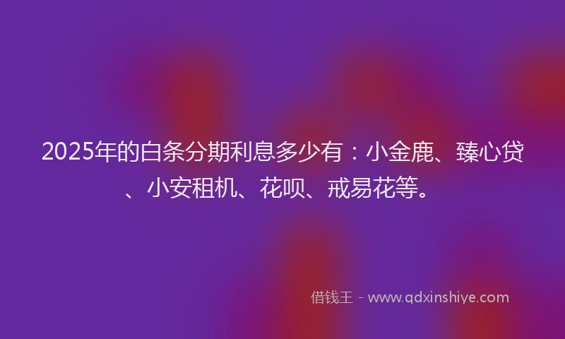 2025年的白条分期利息多少有：小金鹿、臻心贷、小安租机、花呗、戒易花等。