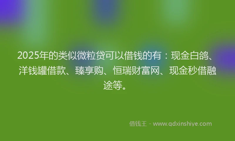 2025年的类似微粒贷可以借钱的有：现金白鸽、洋钱罐借款、臻享购、恒瑞财富网、现金秒借融途等。