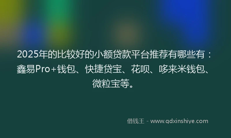 2025年的比较好的小额贷款平台推荐有哪些有：鑫易Pro+钱包、快捷贷宝、花呗、哆来米钱包、微粒宝等。