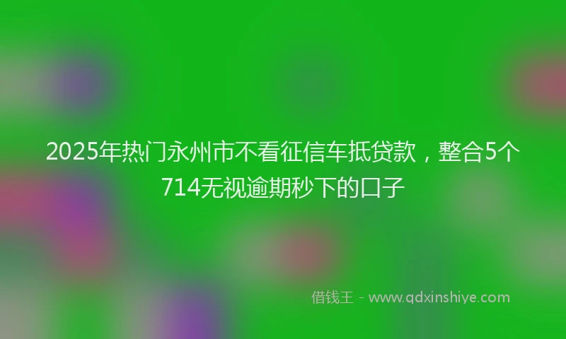 2025年热门永州市不看征信车抵贷款，整合5个714无视逾期秒下的口子