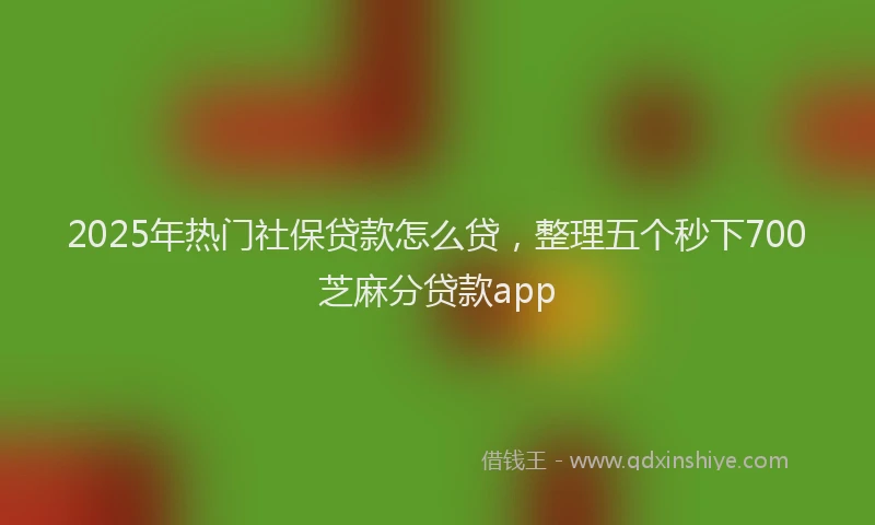 2025年热门社保贷款怎么贷，整理五个秒下700芝麻分贷款app