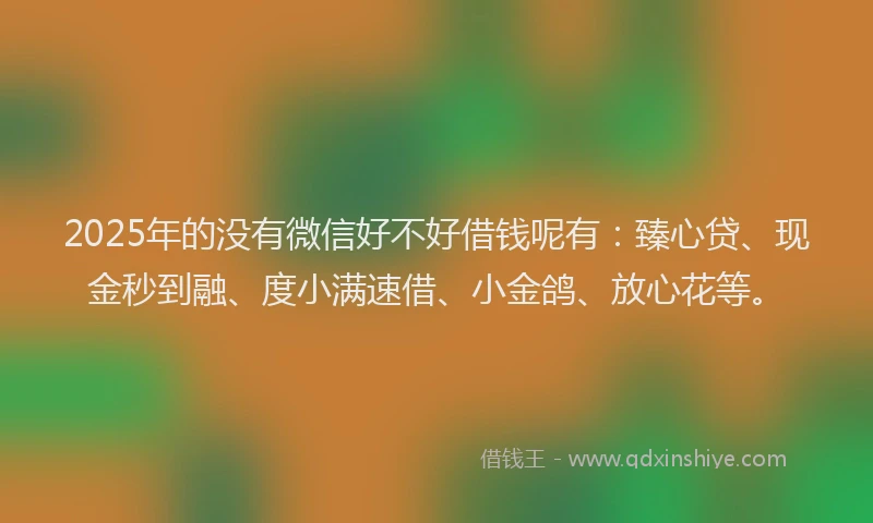 2025年的没有微信好不好借钱呢有：臻心贷、现金秒到融、度小满速借、小金鸽、放心花等。