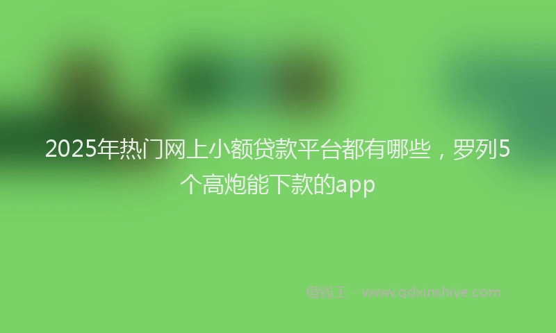 2025年热门网上小额贷款平台都有哪些，罗列5个高炮能下款的app