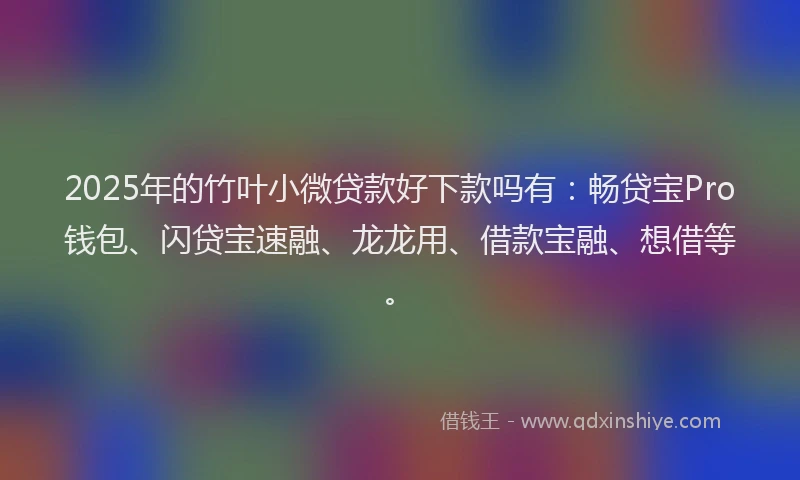 2025年的竹叶小微贷款好下款吗有：畅贷宝Pro钱包、闪贷宝速融、龙龙用、借款宝融、想借等。