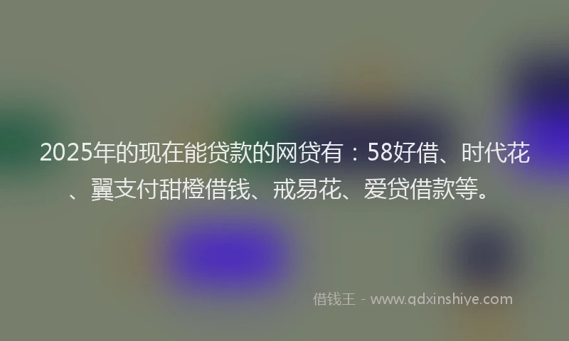 2025年的现在能贷款的网贷有：58好借、时代花、翼支付甜橙借钱、戒易花、爱贷借款等。