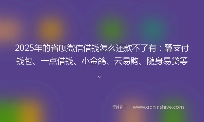 2025年的省呗微信借钱怎么还款不了有：翼支付钱包、一点借钱、小金鸽、云易购、随身易贷等。