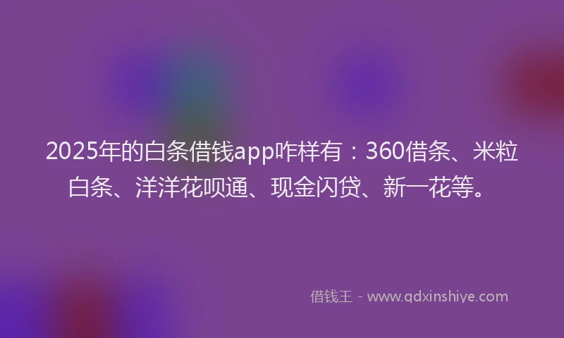 2025年的白条借钱app咋样有：360借条、米粒白条、洋洋花呗通、现金闪贷、新一花等。