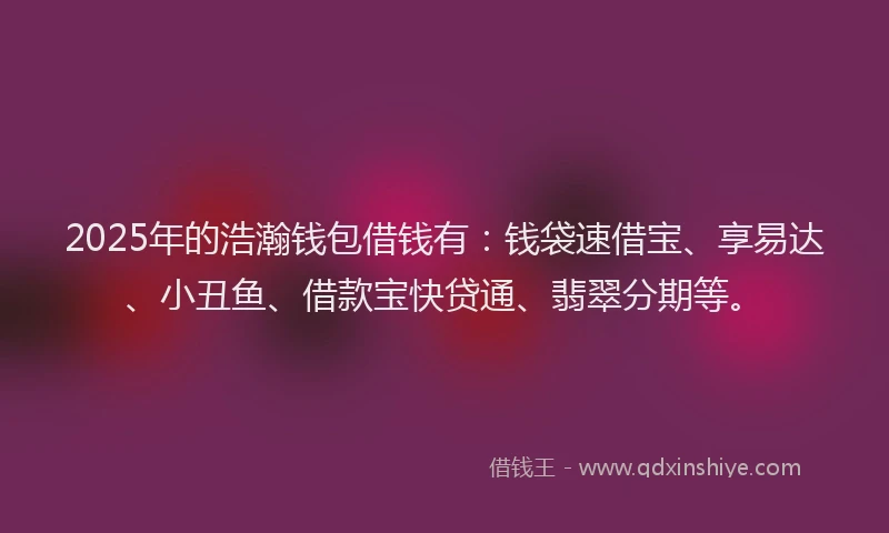 2025年的浩瀚钱包借钱有：钱袋速借宝、享易达、小丑鱼、借款宝快贷通、翡翠分期等。