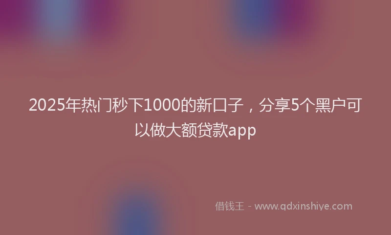 2025年热门秒下1000的新口子，分享5个黑户可以做大额贷款app