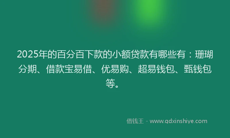 2025年的百分百下款的小额贷款有哪些有：珊瑚分期、借款宝易借、优易购、超易钱包、甄钱包等。