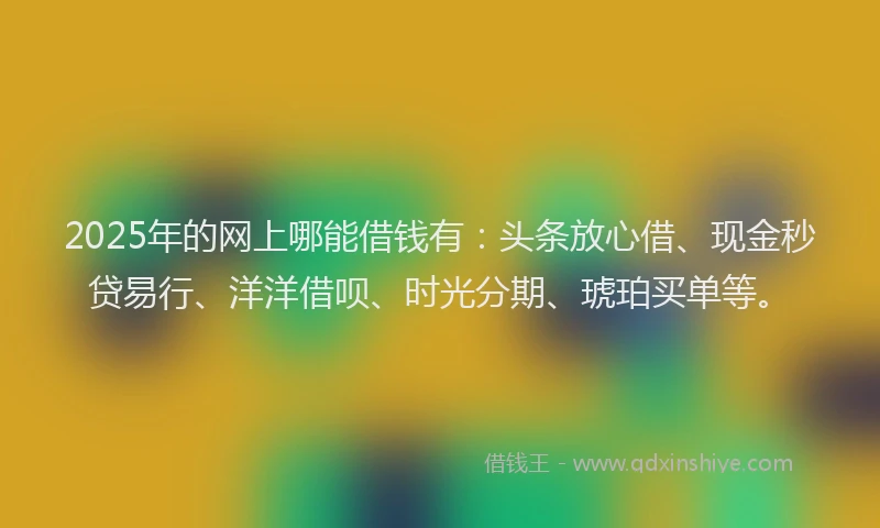 2025年的网上哪能借钱有：头条放心借、现金秒贷易行、洋洋借呗、时光分期、琥珀买单等。