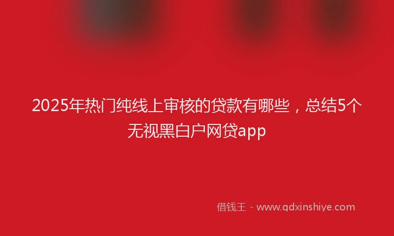 2025年热门纯线上审核的贷款有哪些，总结5个无视黑白户网贷app