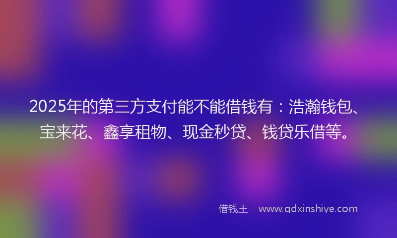 2025年的第三方支付能不能借钱有：浩瀚钱包、宝来花、鑫享租物、现金秒贷、钱贷乐借等。