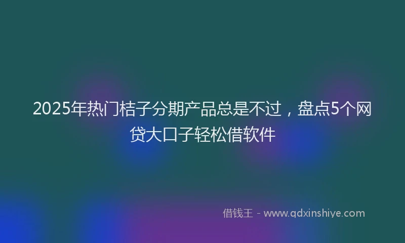 2025年热门桔子分期产品总是不过，盘点5个网贷大口子轻松借软件