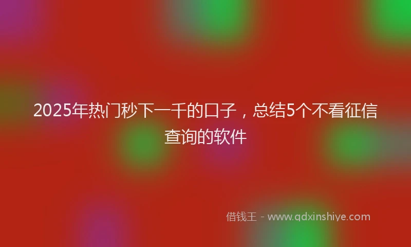 2025年热门秒下一千的口子，总结5个不看征信查询的软件
