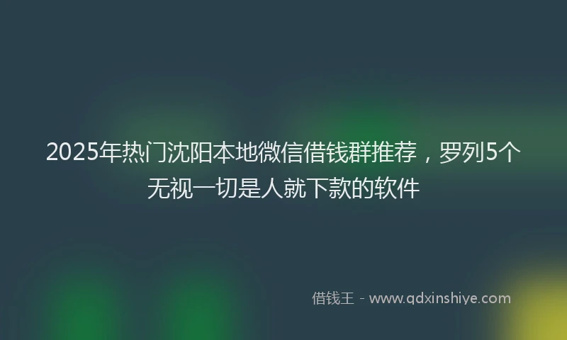 2025年热门沈阳本地微信借钱群推荐，罗列5个无视一切是人就下款的软件