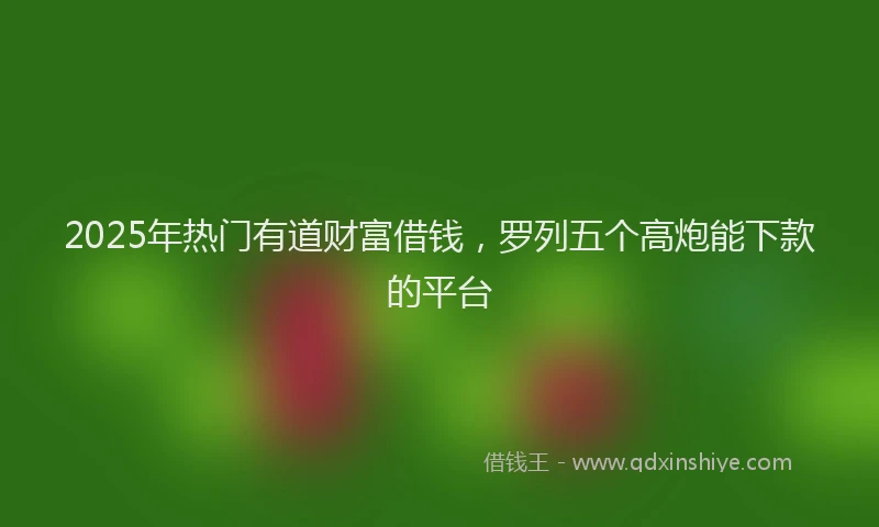 2025年热门有道财富借钱，罗列五个高炮能下款的平台