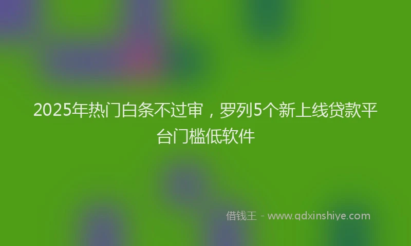 2025年热门白条不过审，罗列5个新上线贷款平台门槛低软件