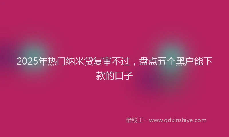2025年热门纳米贷复审不过，盘点五个黑户能下款的口子
