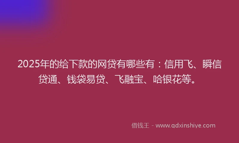 2025年的给下款的网贷有哪些有：信用飞、瞬信贷通、钱袋易贷、飞融宝、哈银花等。