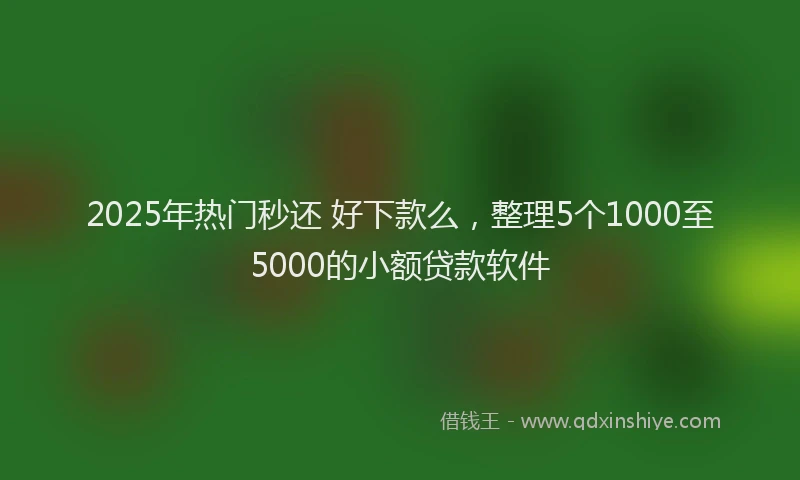 2025年热门秒还 好下款么，整理5个1000至5000的小额贷款软件