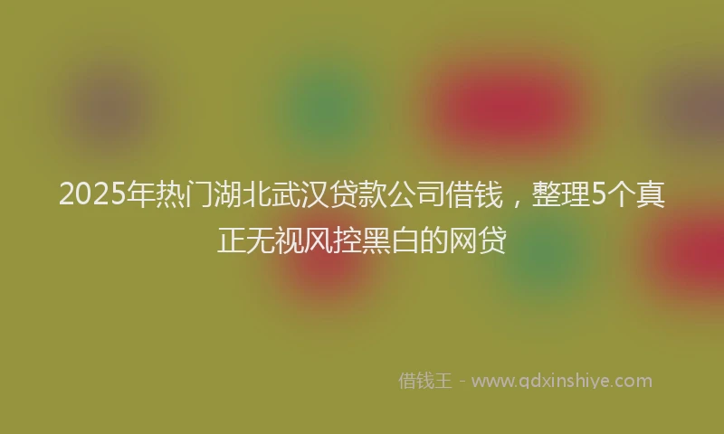 2025年热门湖北武汉贷款公司借钱，整理5个真正无视风控黑白的网贷
