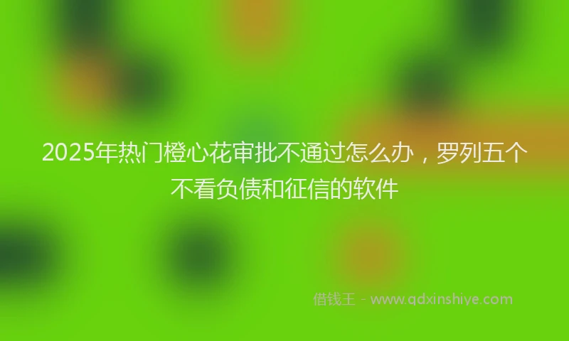 2025年热门橙心花审批不通过怎么办，罗列五个不看负债和征信的软件