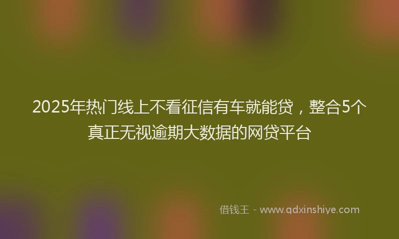 2025年热门线上不看征信有车就能贷，整合5个真正无视逾期大数据的网贷平台