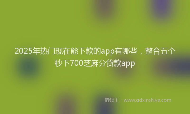 2025年热门现在能下款的app有哪些，整合五个秒下700芝麻分贷款app