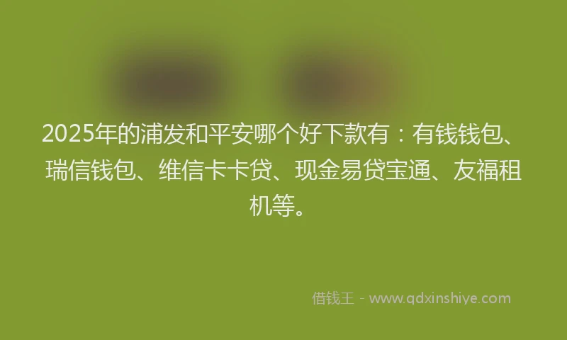 2025年的浦发和平安哪个好下款有：有钱钱包、瑞信钱包、维信卡卡贷、现金易贷宝通、友福租机等。