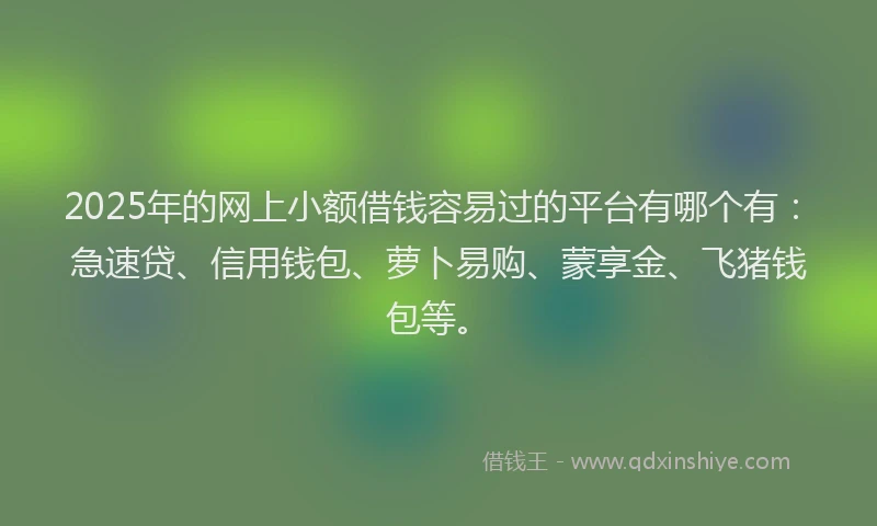 2025年的网上小额借钱容易过的平台有哪个有：急速贷、信用钱包、萝卜易购、蒙享金、飞猪钱包等。