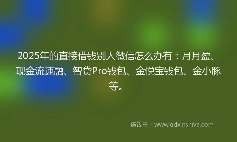 2025年的直接借钱别人微信怎么办有：月月盈、现金流速融、智贷Pro钱包、金悦宝钱包、金小豚等。