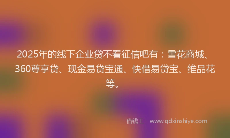 2025年的线下企业贷不看征信吧有：雪花商城、360尊享贷、现金易贷宝通、快借易贷宝、维品花等。