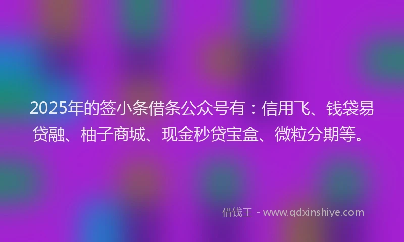 2025年的签小条借条公众号有：信用飞、钱袋易贷融、柚子商城、现金秒贷宝盒、微粒分期等。