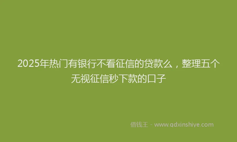 2025年热门有银行不看征信的贷款么，整理五个无视征信秒下款的口子
