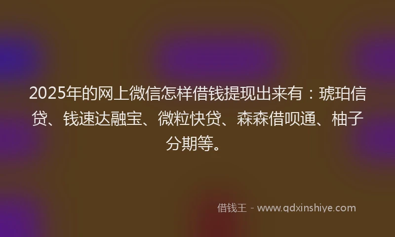 2025年的网上微信怎样借钱提现出来有：琥珀信贷、钱速达融宝、微粒快贷、森森借呗通、柚子分期等。