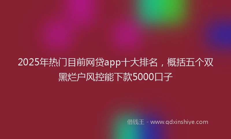 2025年热门目前网贷app十大排名，概括五个双黑烂户风控能下款5000口子