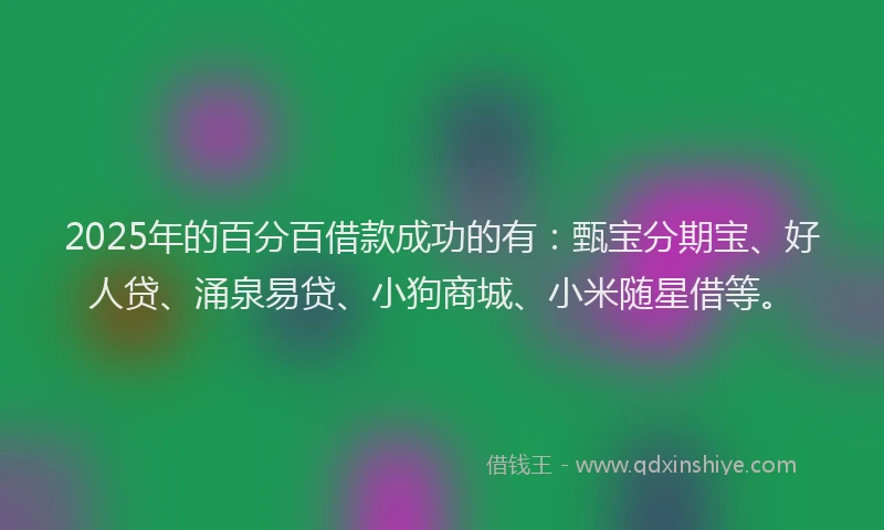 2025年的百分百借款成功的有：甄宝分期宝、好人贷、涌泉易贷、小狗商城、小米随星借等。