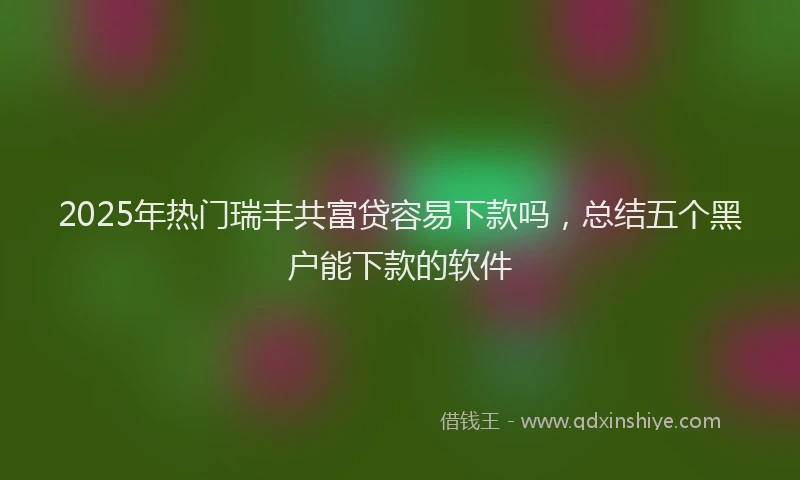 2025年热门瑞丰共富贷容易下款吗，总结五个黑户能下款的软件