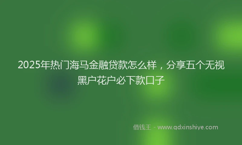 2025年热门海马金融贷款怎么样，分享五个无视黑户花户必下款口子