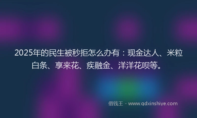 2025年的民生被秒拒怎么办有：现金达人、米粒白条、享来花、疾融金、洋洋花呗等。