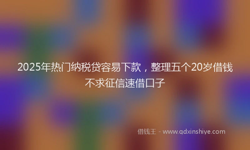 2025年热门纳税贷容易下款，整理五个20岁借钱不求征信速借口子