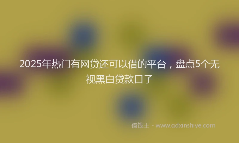 2025年热门有网贷还可以借的平台，盘点5个无视黑白贷款口子