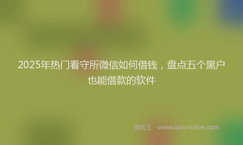 2025年热门看守所微信如何借钱，盘点五个黑户也能借款的软件
