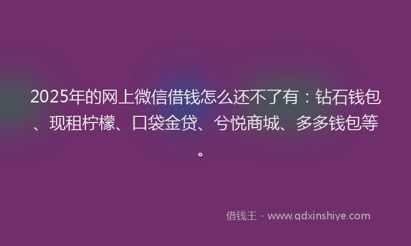 2025年的网上微信借钱怎么还不了有：钻石钱包、现租柠檬、口袋金贷、兮悦商城、多多钱包等。